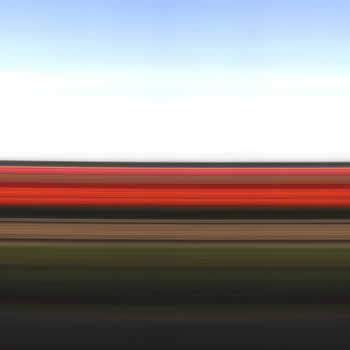 Tulip Fields Holland XXIV, 2006